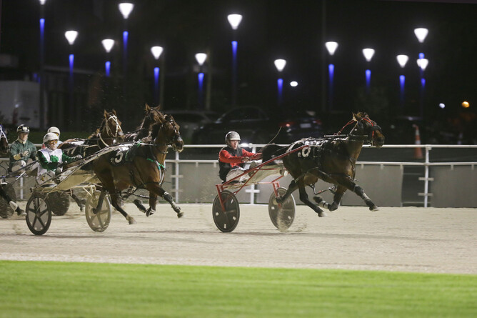 Cambridge-based trainer driver Kyle Marshall was successful in Auckland with Whooshka on Friday night - Photo: Trish Dunell
