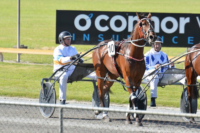 Ricki Herbert made his raceday comeback at The Cambridge Raceway on Thursday. Photo: Chanelle Lawson