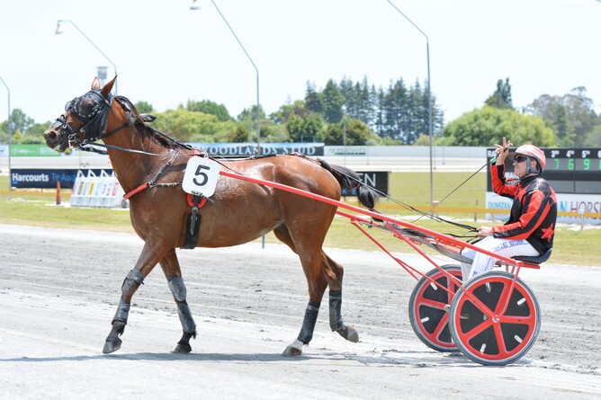 Lovely Bundy returns to The Raceway on Saturday - Photo: Chanelle Lawson