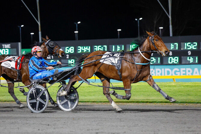 Cambridge Raceway winner Costal Babe. - Photo: Angelique Bridson