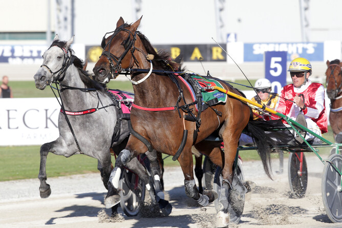 Expensive Crumpet winning the Dunstan Speedfeed Summer Series Trot (2200m) - Photo: Trish Dunell