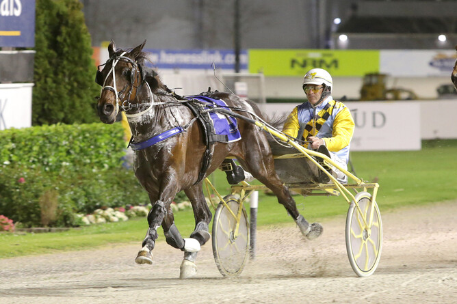 Credit Master with Andrew Neal in the sulky - Photo: Trish Dunell