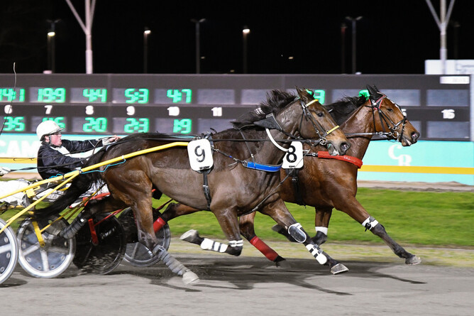 Funny Face (inside) has been crowned  Dunstan Cambridge Raceway Horse of the Year. - Photo: Supplied