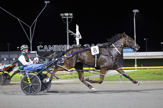 Mantra Blue winning at the Cambridge Raceway on Thursday. - Photo: Angelique Bridson