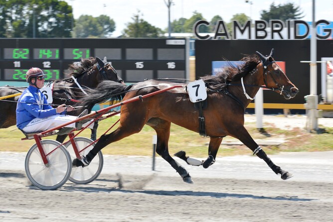 Presidential Jewel heads to The Raceway on Wednesday night. Photo: Chanelle Lawson