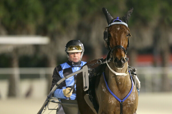 My Boy Boo - Trish Dunell