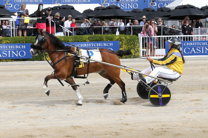 Kidz Kartz New Zealand Cup winners Jordyn Bublitz and Chaos - Race Images South