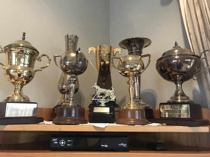 Trophies won by Just An Excuse on display in the Haines household