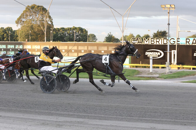 Berani and Tim Hall lead the field home at the Cambridge Raceway. - Photo: Angelique Bridson