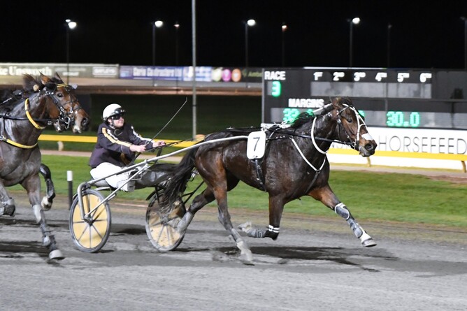 Bellatrix clears maiden ranks at the Cambridge Raceway. - Photo: Chanelle Lawson Photography