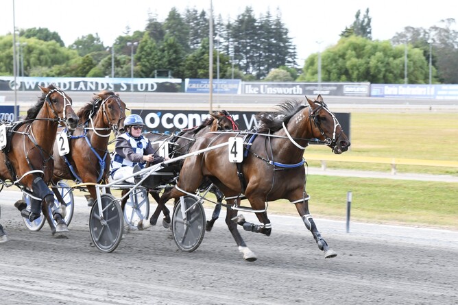 Alicia Harrison guides home The Sportsman to win the Revell Douglas Memorial Junior Driver Series Mobile Pace - Photo: Chanelle Lawson