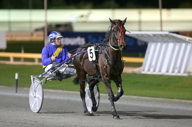 Westburn Yield will have her first start for Arna Donnelly at Manawatu on Tuesday  - Trish Dunell