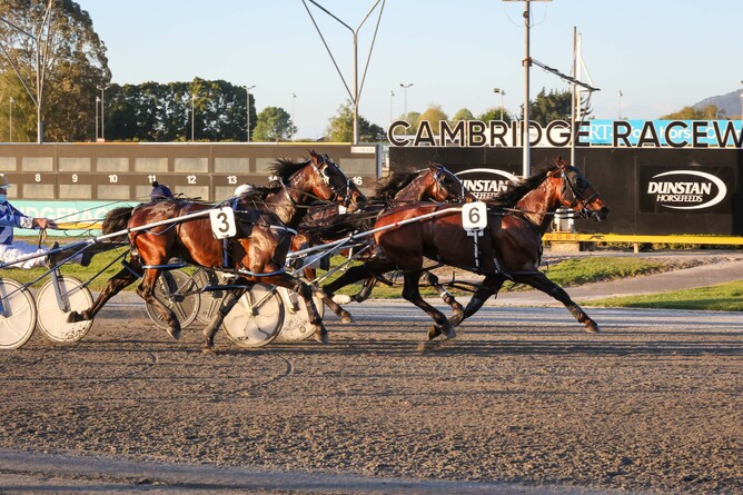 Blameitonthenight strides to the finishing line at the Cambridge Raceway. - Photo: Angelique Bridson