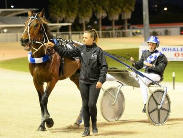 In from trotter Majestic Man. - Photo: HRNZ