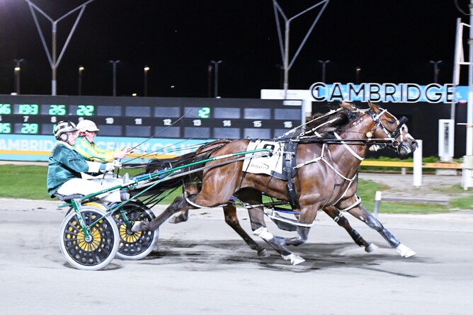 Copy That continues on his New Zealand Cup path with a win at the Cambridge Raceway. - Photo: Chanelle Lawson