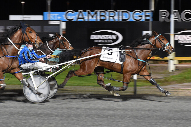 Dressed in Gold winning at the Cambridge Raceway. - Photo: Kenton Wright, Race Images