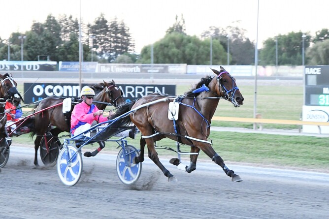Rough and Ready wins the Waikato Cup. - Photo: Chanelle Lawson