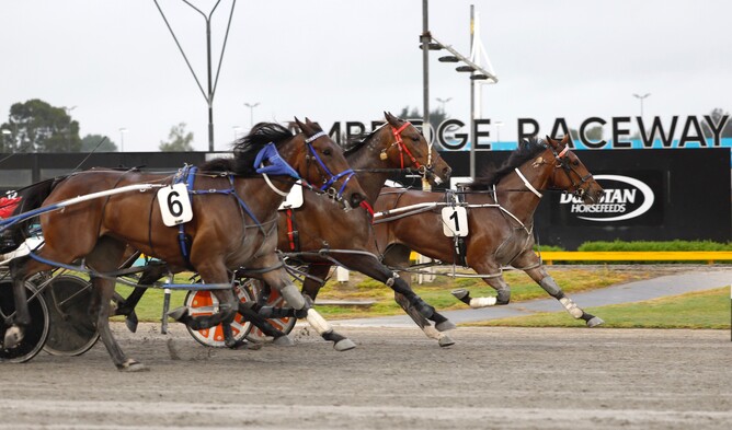 It's Nae Or Never powers up the lane to beat Invisible, Jacqueline Rose and Lenny Lincoln at Cambridge.  - Photo: Ange Bridson