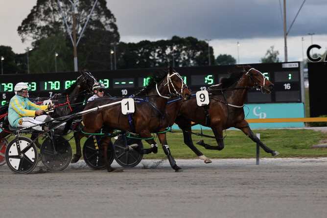 Lightning Baby breaks through the pack to win at the Cambridge Raceway. - Photo: Angelique Bridson