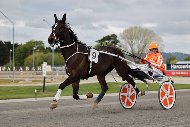 Leah Hibell returns a winner with Del Shannon. - Photo: Angelique Bridson