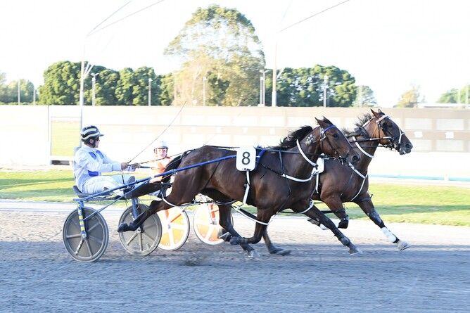 Artisan (closest to camera) winning the Waikato Pacing Breeders Stakes. - Photo: Chanelle Lawson