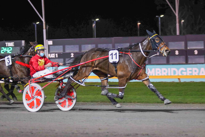 David Butcher driving Hooray Henry to win the Blue Do Tickets On Sale Now Moblie Pace - Photo: Angelique Bridson