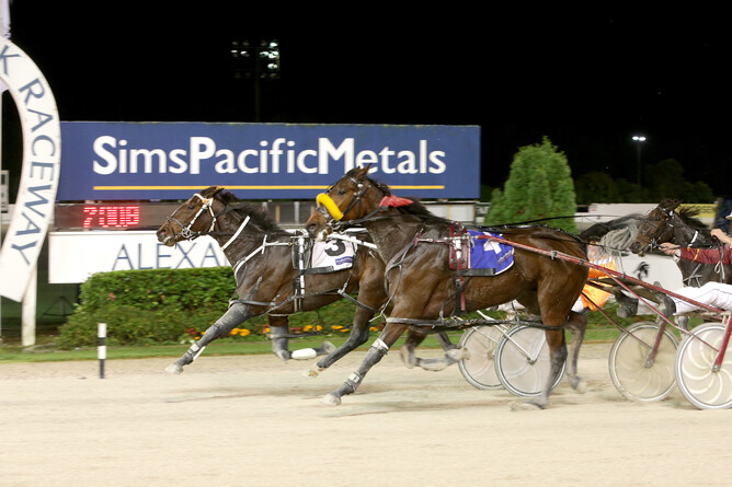 Ferritts Sister (number 3) on her way to winning at Alexandra Park on Friday night - Trish Dunell