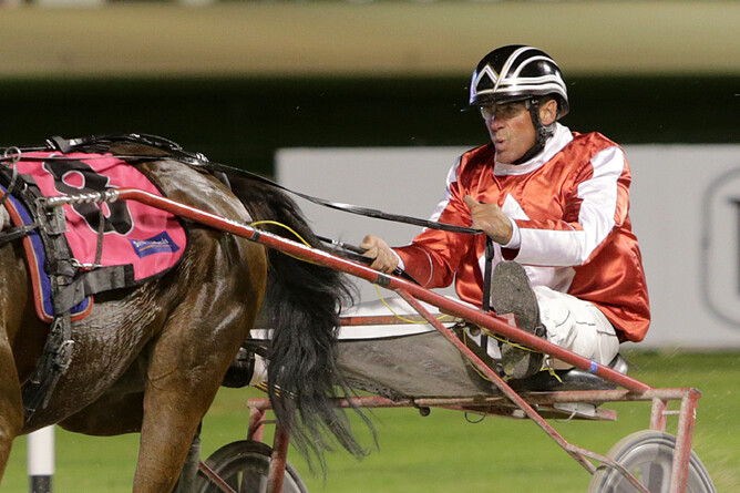 Phill Jefferies reins home Majestic Sunrise for his first win in 12 years. - Photo: Trish Dunell