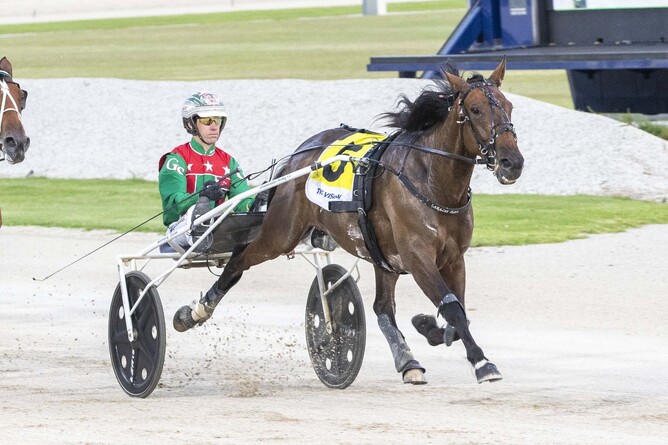 Champion Australian trotter Just Believe is coming to Cambridge