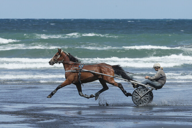 Blood and Whisky - Trish Dunell