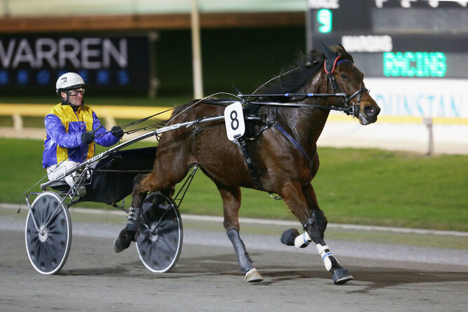 Rise to Success - Trish Dunell