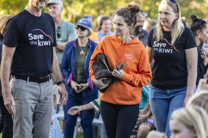 Kiwi being carried closely by a Save the Kiwi team member on Waiheke Island. Part of the Save the Kiwi mission in May 2025.