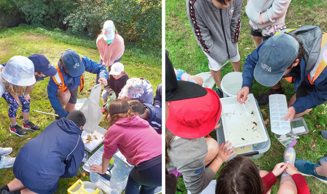 Image of Shmak Kit in use with Sustainable Coastlines. Case study of project funded by the Jenkins Foundation. New Zealand.