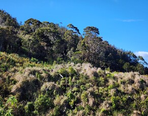 The Manawatawa Project