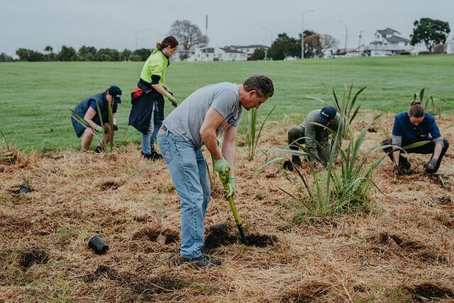 Image from the Maintenance Pilot in the Whau Catchment, Te Atatu, Auckland.. Case study of project funded by the Jenkins Foundation. New Zealand.