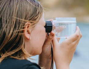 Connecting Young Minds with Conservation: Rotoroa Island’s Education Programme