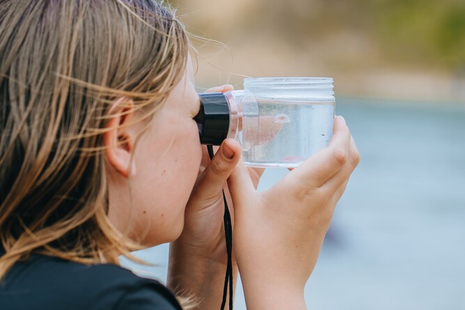 Image of girl doing beach activities at Rotoroa Island’s Education Programme. Supported by The Jenkins Foundation. New Zealand.