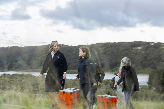 Image of large Save the Kiwi wooden boxes being carried by the team at Waiheke Island. Part of the Save the Kiwi mission in May 2025.