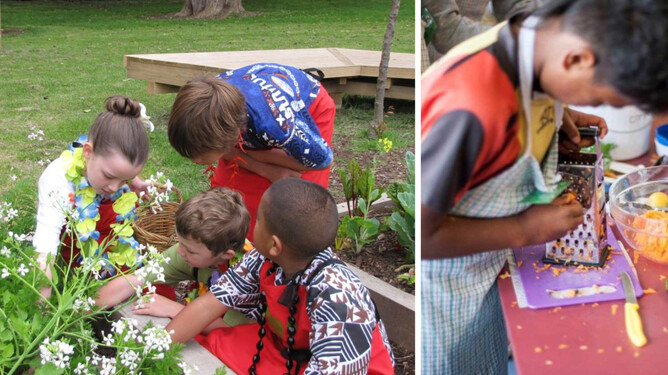 Image of Garden to Table programme. Case study of project funded by the Jenkins Foundation. New Zealand.
