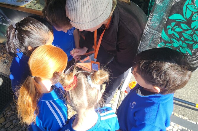 Tamariki from Glenbrook school observing worms, August 2025.