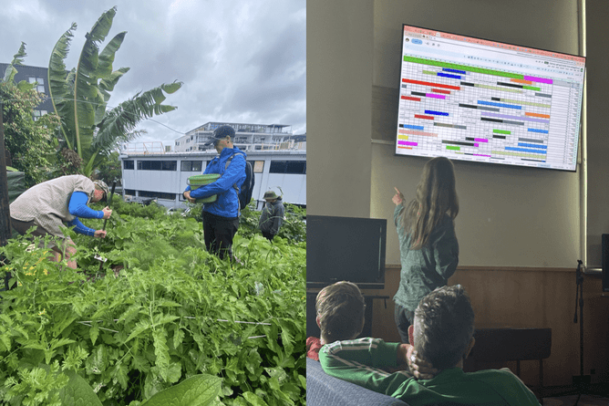 Image shows soil health measuring and crop planning at OMG. The Jenkins Foundation. Auckland, New Zealand.