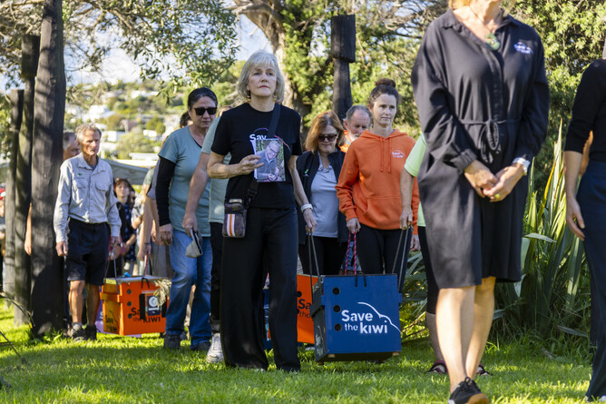 Image of large Save the Kiwi wooden boxes being carried by the team at Waiheke Island. Part of the Save the Kiwi mission in May 2025.