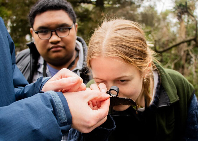 EnviroPAST: Plastic And Sustainability Talks, is a two-day conference funded by The Jenkins Foundation. New Zealand. Image of girl examining a bug.