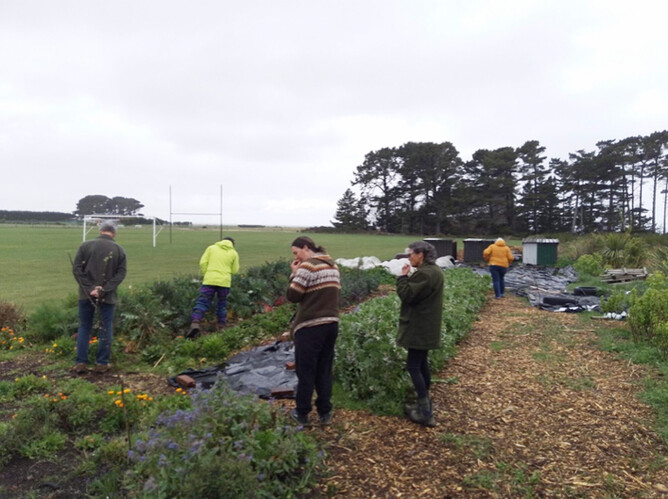 Image from Bountiful Backyards 2025, workshop attendees exploring soil wellbeing in a community garden