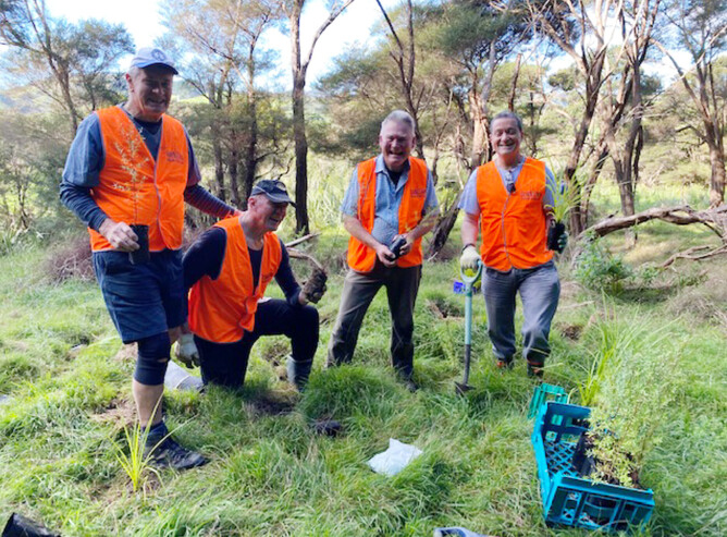 Image of the The Rotary Club of Downtown Auckland members lending a hand at the Trees For Survival planting day.
