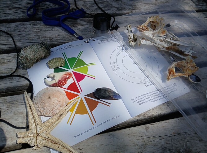 Image of the nature colour charts provided at Rotoroa Island’s Education Programme. Supported by The Jenkins Foundation. New Zealand.
