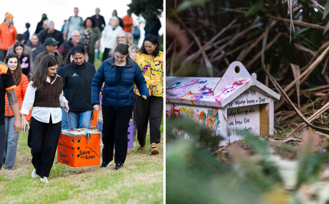 Image of large Save the Kiwi wooden boxes being carried by the team at Waiheke Island. Close up of the Kiwi home handpainted. Part of the Save the Kiwi mission in May 2025.