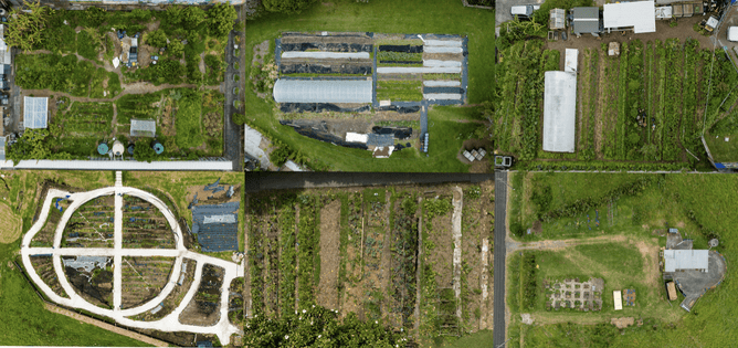 Image of participating farms in The Love of Bees Communities of Regenerative Learning Programme. The Jenkins Foundation. Auckland, New Zealand.