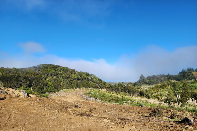 Image of area prepped for waste water dripper. Manawatawa Native Restoration Project. Community project funded by The Jenkins Foundation. New Zealand.
