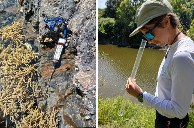 Two images of a guy monitoring the wetlands at Rotoroa Island’s Education Programme. Supported by The Jenkins Foundation. New Zealand.